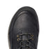 Ariat Terrain H2O Waterproof Mens Endurance Shoe